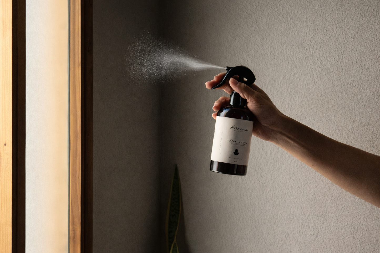 Retreat - Spray Ambiental