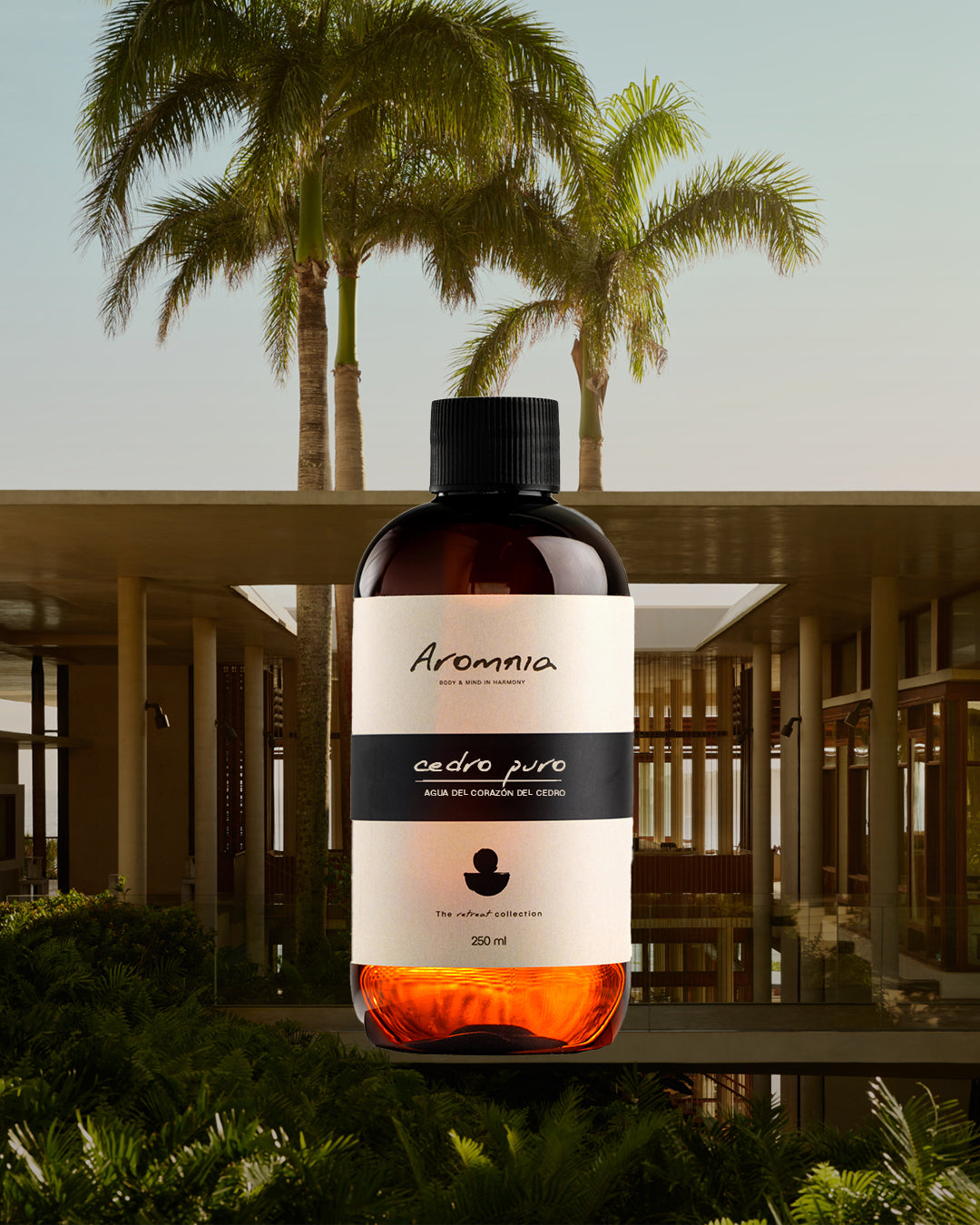 Cedro Puro - Aceite para Difusor