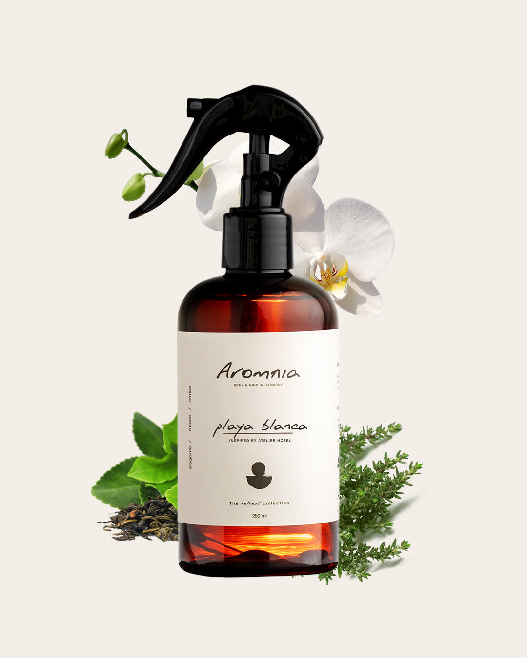 Playa Blanca - Spray Ambiental